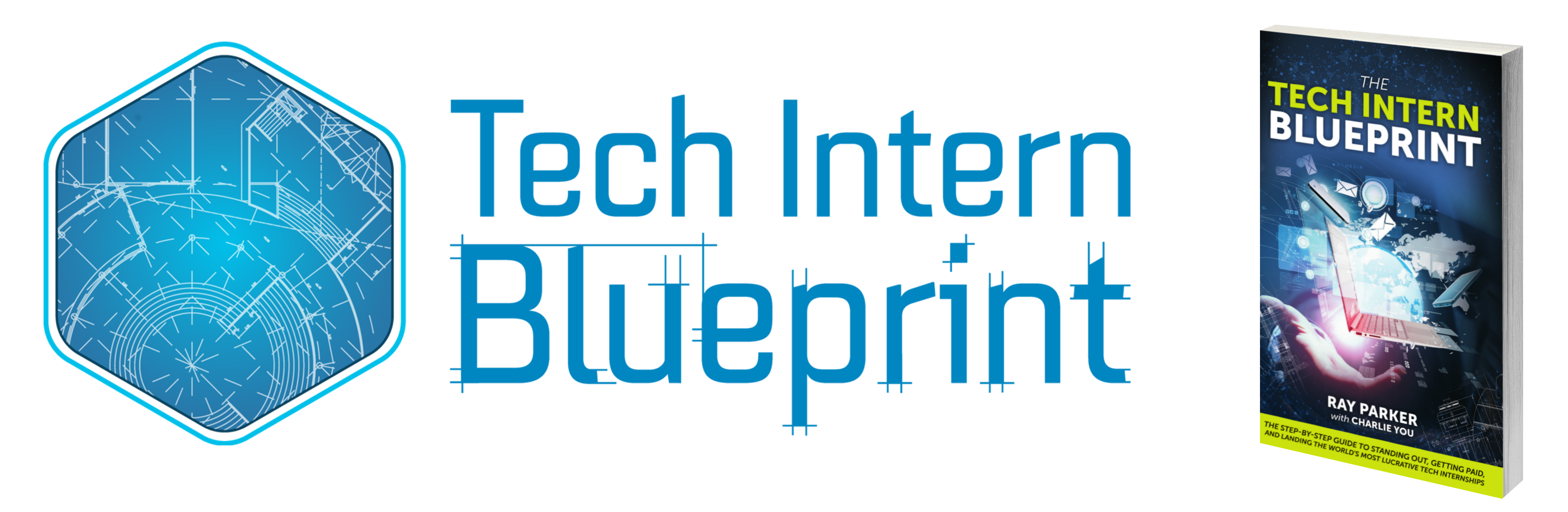 The Tech Intern Blueprint — book cover by Ray Parker